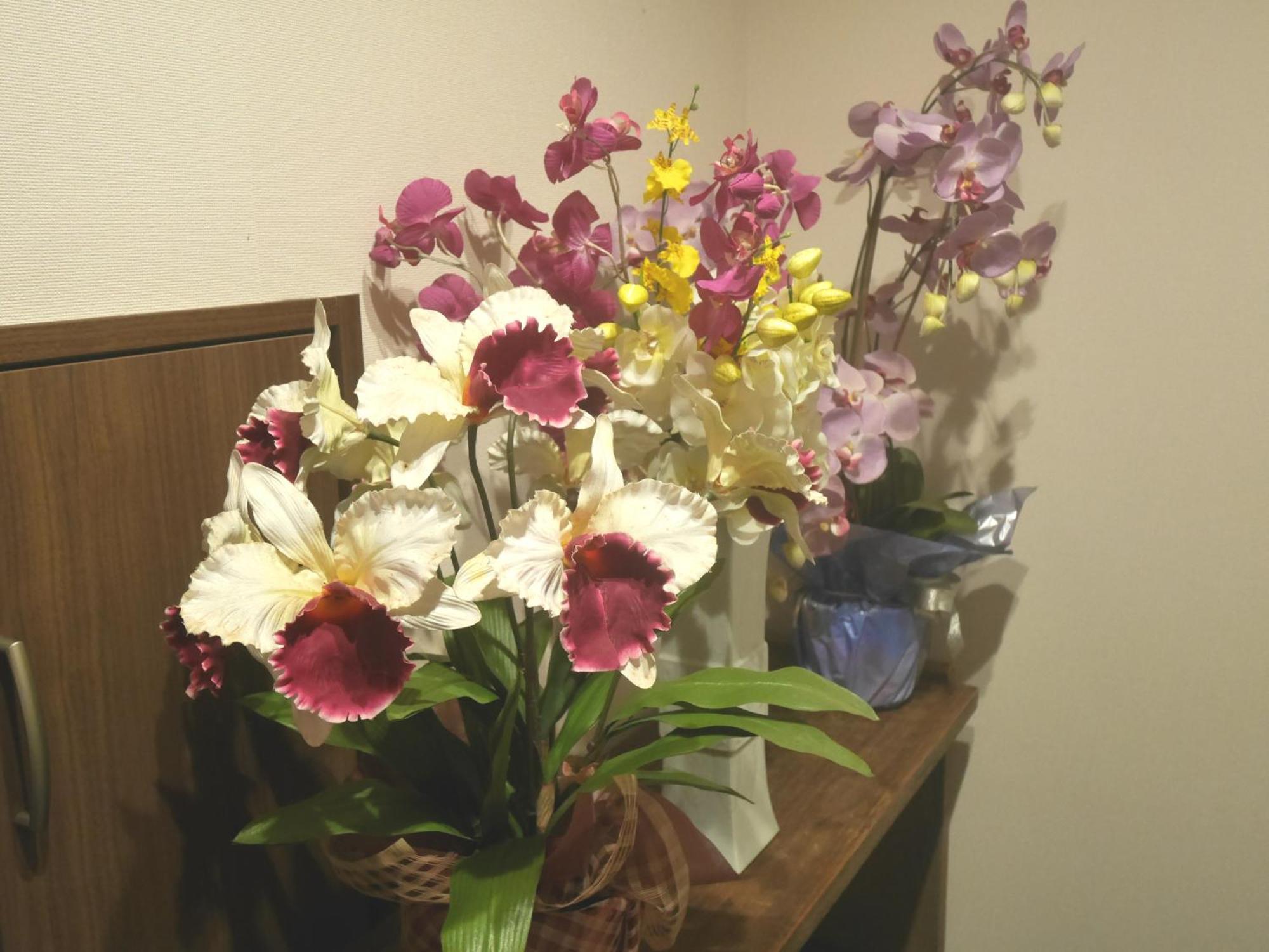 Guesthouse Grande今宮駅前 Osaka Buitenkant foto